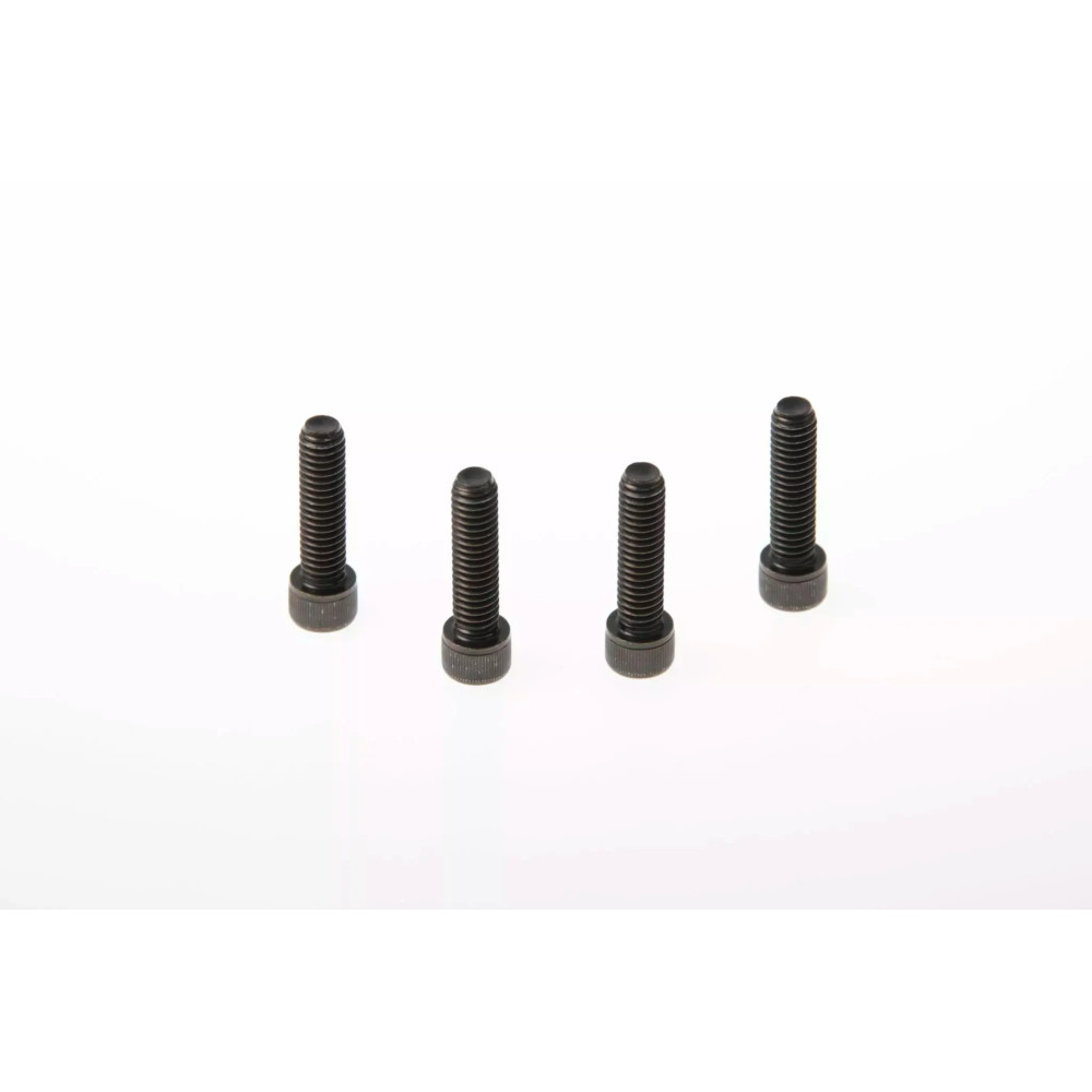 Handlebar Clamp Screw