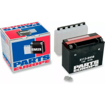 High Performance AGM Maintenance-Free Battery