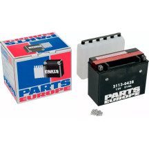 High Performance AGM Maintenance-Free Battery