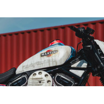 Cubierta del Salpicadero para Harley