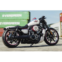Cubierta del Salpicadero para Harley
