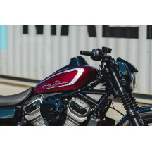 Cubierta del Salpicadero para Harley
