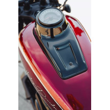 Cubierta del Salpicadero para Harley