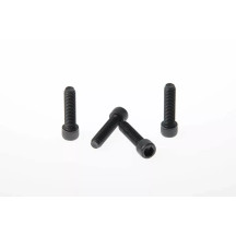 Fork Triple Clamp Screws