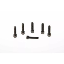 Fork Triple Clamp Screws