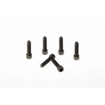 Fork Triple Clamp Screws