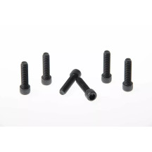 Fork Triple Clamp Screws
