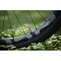 Juego de Válvulas Tubeless Schrader Quick Fill