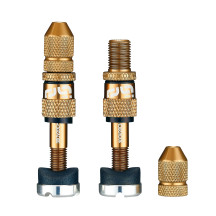 Juego de Válvulas Tubeless Schrader Quick Fill