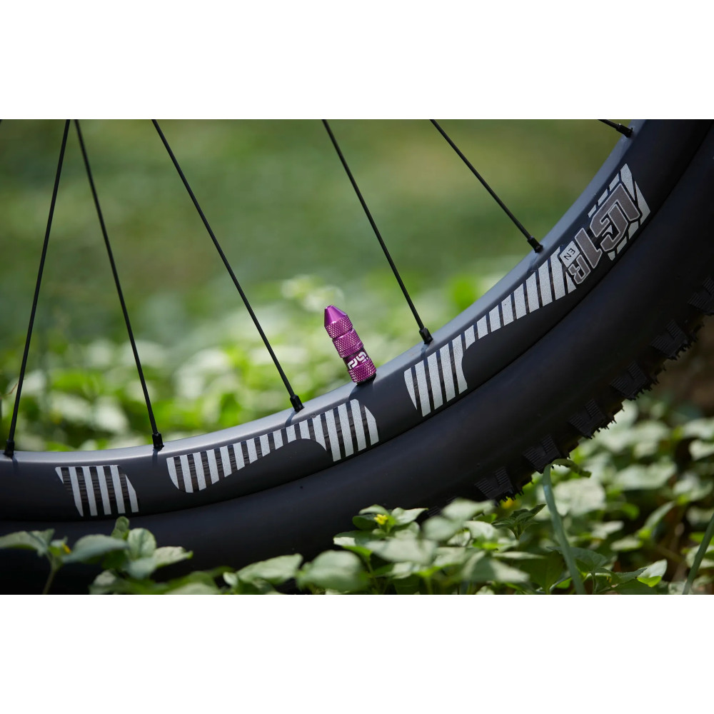 Quick Fill Schrader Tubeless Valve Set