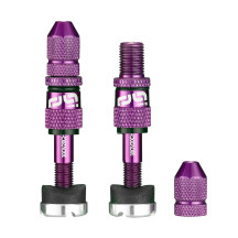 Quick Fill Schrader Tubeless Valve Set