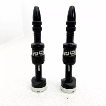 Quick Fill Presta Tubeless Valve Set
