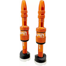 Quick Fill Presta Tubeless Valve Set