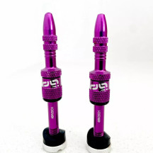 Quick Fill Presta Tubeless Valve Set