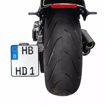 Side Mount License Plate Holder w/Plate Lights