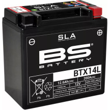 SLA Factory-Activated AGM Maintenance-Free Batteries