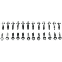 Valve Cover Screw Kit — Chrome, Silver