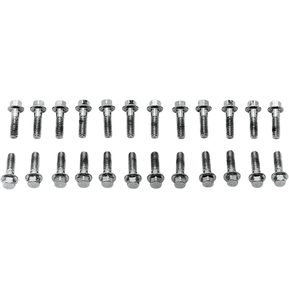 Valve Cover Screw Kit — Chrome, Silver