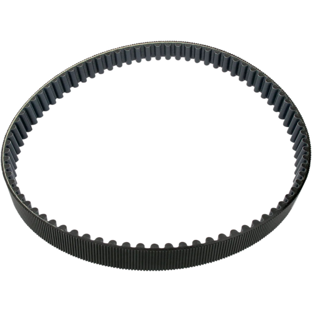 Correa primaria de recambio — 78 dientes, 28.6 mm (1-1/8")