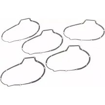 Primary Gasket