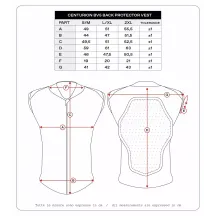 Centurion BV5 Back Protector Vest