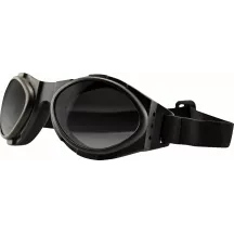 Bugeye II Goggle