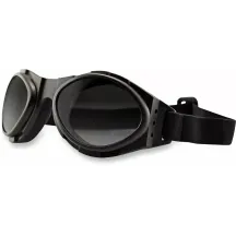 Bugeye II Goggle