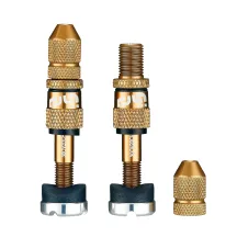 Quick Fill Schrader Tubeless Valve Set