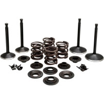 Engine Valve Kit — Intake 1.750", Exhaust 1.570", Lengths 3.562"/3.512", Black Diamond™ Stainless