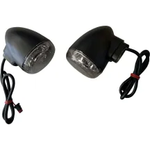 Rear Turn Signal