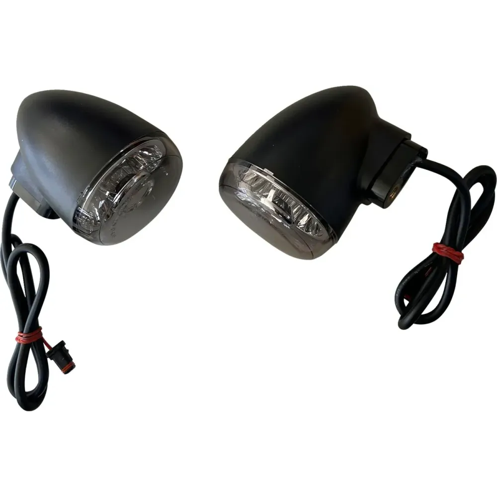 Rear Turn Signal