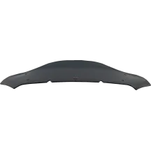 Windshield