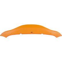 Windshield
