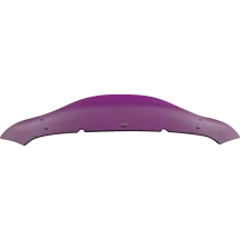 Windshield