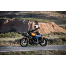 Neumático Scorcher 21 — 120/70R17