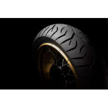 Neumático Trailmax Meridian — 170/60-17, 72W