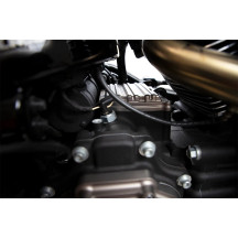 Cubierta lateral de transmisión de 10 calibre — 6 orificios, Titanio anodizado