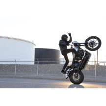 Rotor de freno Cubiq™ — 299 mm, Flotante completo, Negro/Cromo