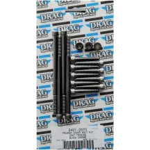 Primary Cover Bolt Kit — Black, Chrome