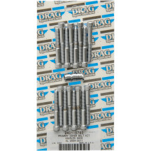 Primary Cover Bolt Kit — chrome finish
