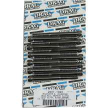 M-Eight Bolt Kit — Crankcase, Black/Chrome