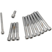 Primary Cover Only Bolt Kit — Chrome, Silver