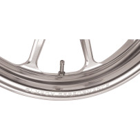 Track Pro Wheel — 19x3, 3.25" x 5 bolt pattern, Silver