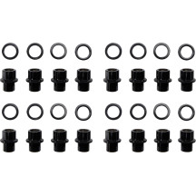 Carbon Lug Nuts