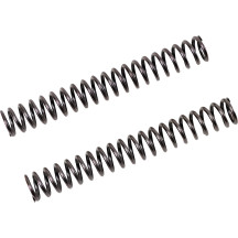 Resortes de horquilla para kit de cartucho FGK