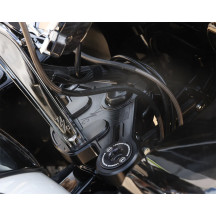 Road Glide Top Tree
