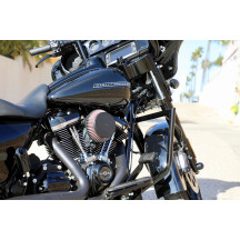 Protector de motor Twin Peaks