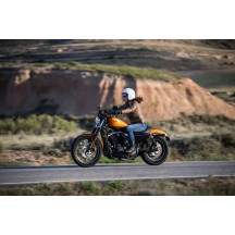 Scorcher 21 Tire — 160/60R17, Rear, Blackwall