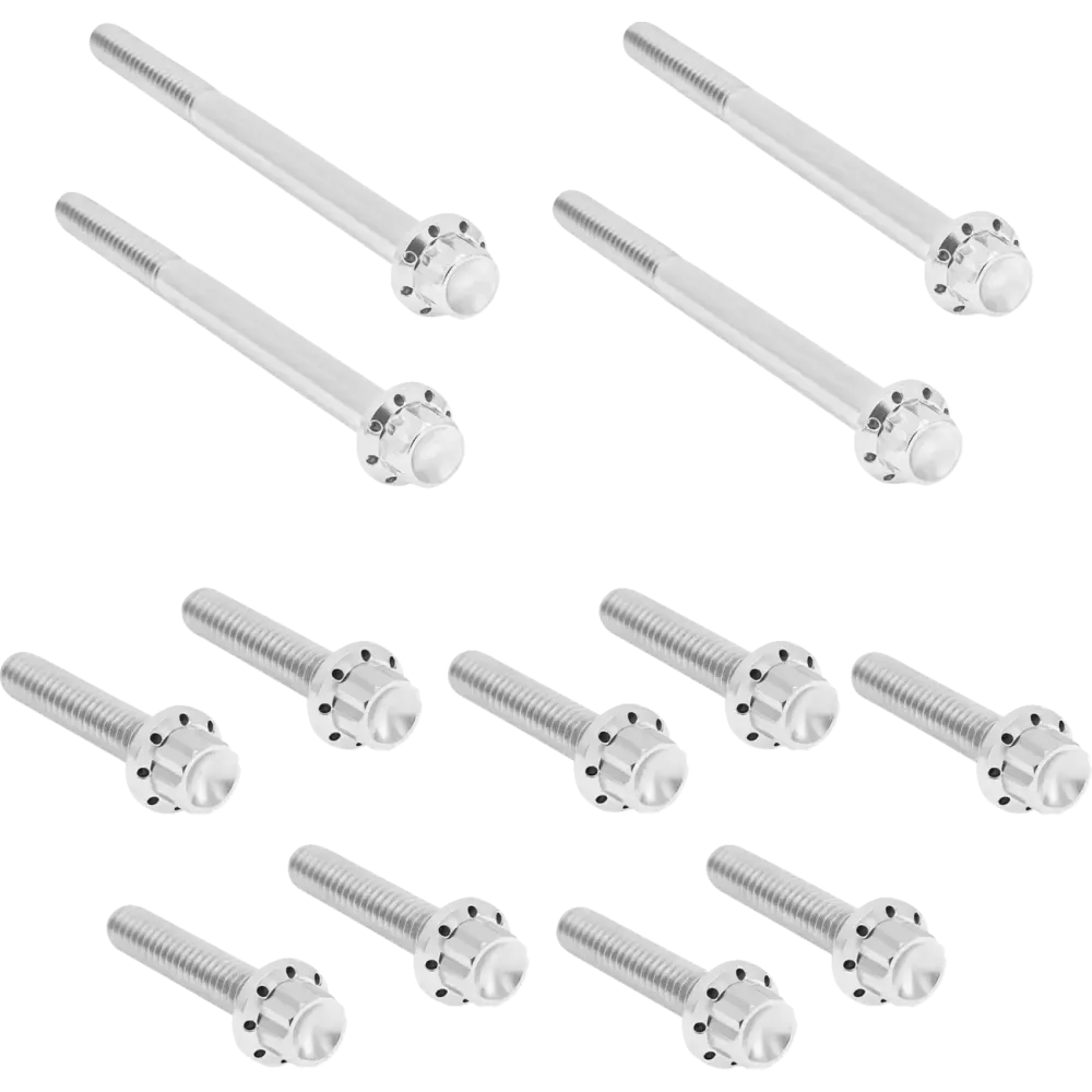 Outer Primary Cover Titanium 12-Point Bolt Kit — For Softail, Titanium, Silver Polished