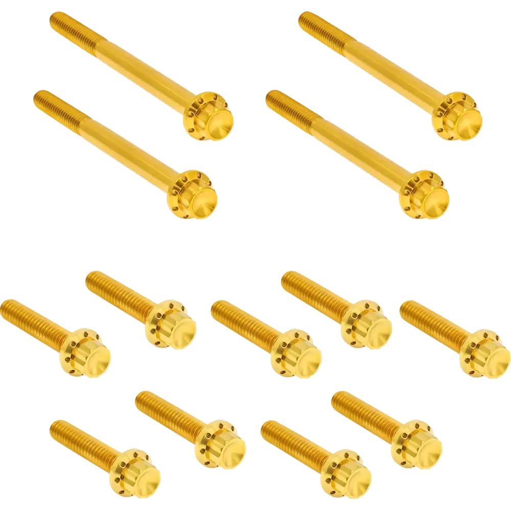 Outer Primary Cover Titanium 12-Point Bolt Kit — Gold finish, For Softail